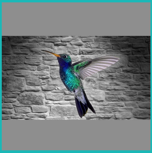 KOLIBRI RECORDS